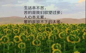 哲理诗的读后感6篇