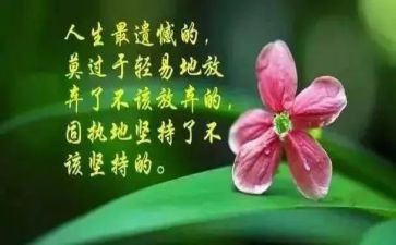 人生与树的哲理作文通用6篇