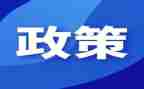 双减政策心得体会优秀6篇