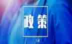 双减政策心得体会7篇