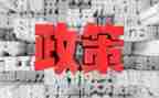 双减政策演讲稿6篇