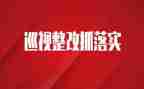 审计报告整改报告范文6篇