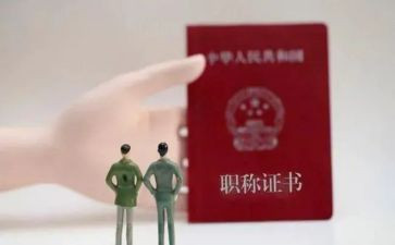 正高级职称述职报告优秀8篇