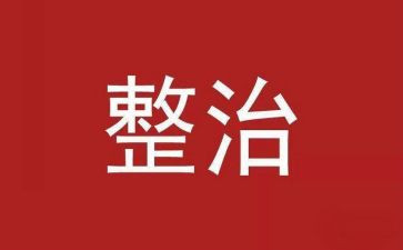 打击整治工作总结参考5篇