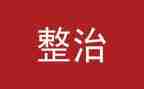 打击整治工作总结参考5篇