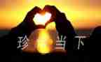 珍惜感恩的演讲稿7篇