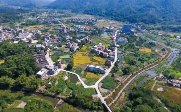 抓乡村振兴述职报告8篇
