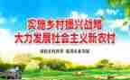 乡村振兴法调研报告7篇