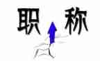 技术职称专业技术工作总结模板8篇