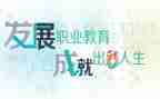 中职教师的工作总结最新6篇