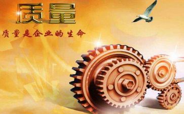 2024年质量活动总结报告6篇