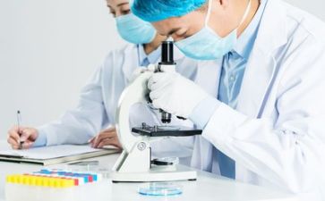 质量年活动总结7篇