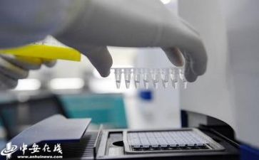年度质量工作计划5篇