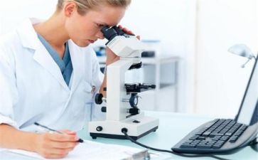 局质量工作总结最新8篇