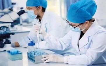 质量工作个人总结报告5篇
