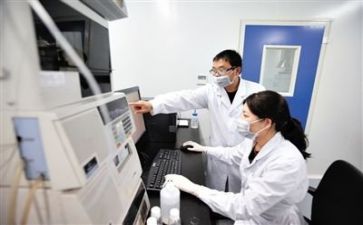 年度质量工作计划推荐5篇