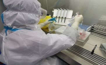 开展质量月活动总结5篇