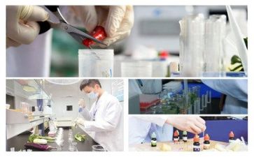 质量年终工作总结推荐6篇