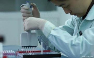 计质量工作总结模板8篇