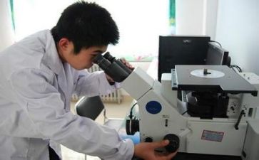 计质量工作总结6篇