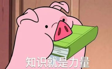小学生知识讲座的心得体会5篇