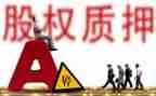 股权质押典当借款合同5篇