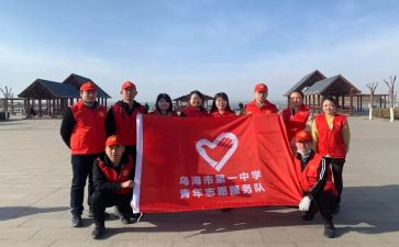 学校有志愿者活动总结8篇