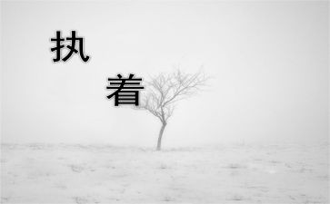 关于执着的作文精选7篇