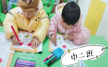 幼儿园中班个人总结范文7篇