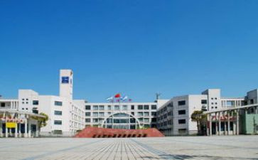 中心校长述职报告5篇
