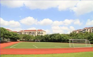 中学政治述职报告5篇