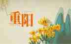 2024社区重阳节活动方案7篇