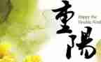 镇重阳节活动方案模板6篇