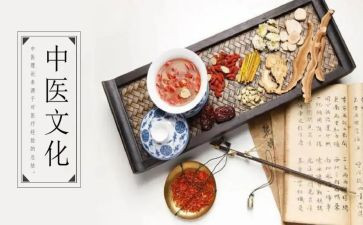 中医医师年度工作总结8篇