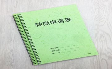 转岗年终总结6篇