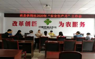 专合社述职报告模板模板6篇