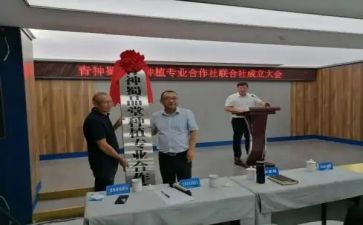 专合社述职报告范文通用5篇