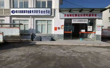 专合社入社申请书6篇