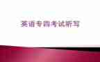 专四训练实习心得8篇