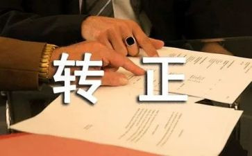教师转正个人总结范文优秀7篇