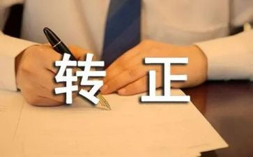 转正工作自我总结6篇