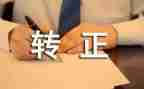 转正前的心得体会优质6篇