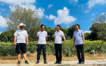 驻村年度工作总结5篇
