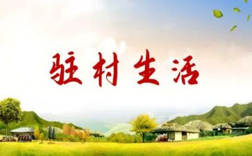 2024年驻村工作干部述职报告7篇
