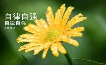 自强不息的我演讲稿7篇