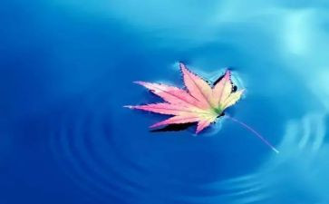 关于自然的教案7篇