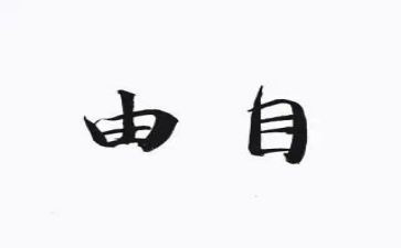 自由作文800字8篇