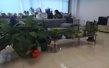 综合部述职报告范文6篇