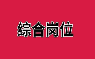 银行综合岗个人总结6篇