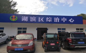 镇综治年终总结通用6篇